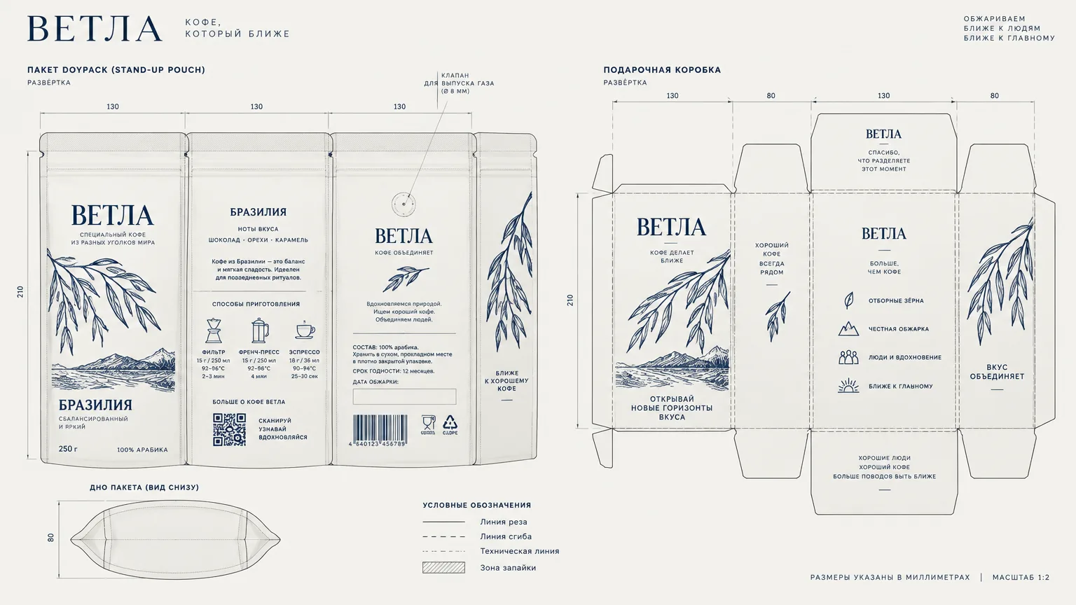 Ветла — развёртка